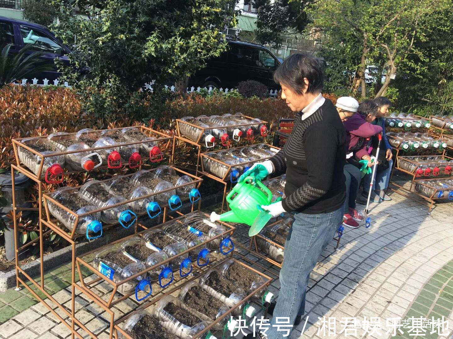 蔬菜|空油桶别扔了，剪一刀在阳台种菜，不用再买菜，一家人1年吃不完