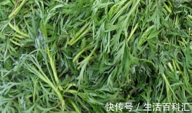 神草|乡村有一种降血压的''神草''，城市里卖40一斤，还是一种美味