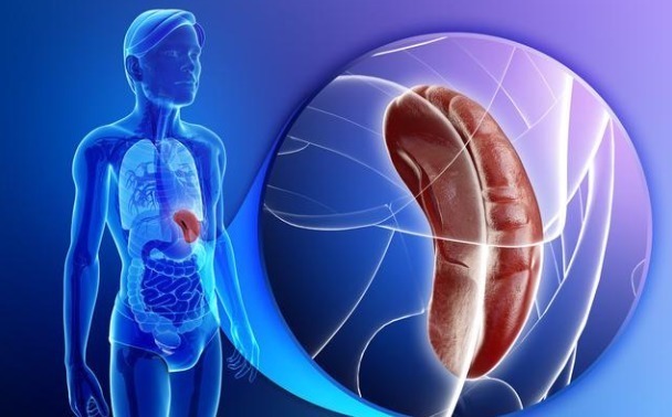 胃癌|有种胃炎给胃癌打下了基础,中药调治可及时逆转胃部状态