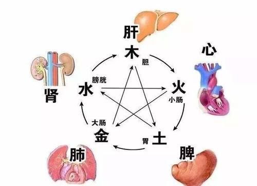  怎样理解中医学的预防思想？
