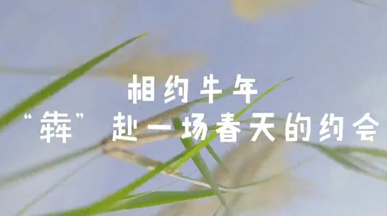 走，一起来看深圳的“花花世界”