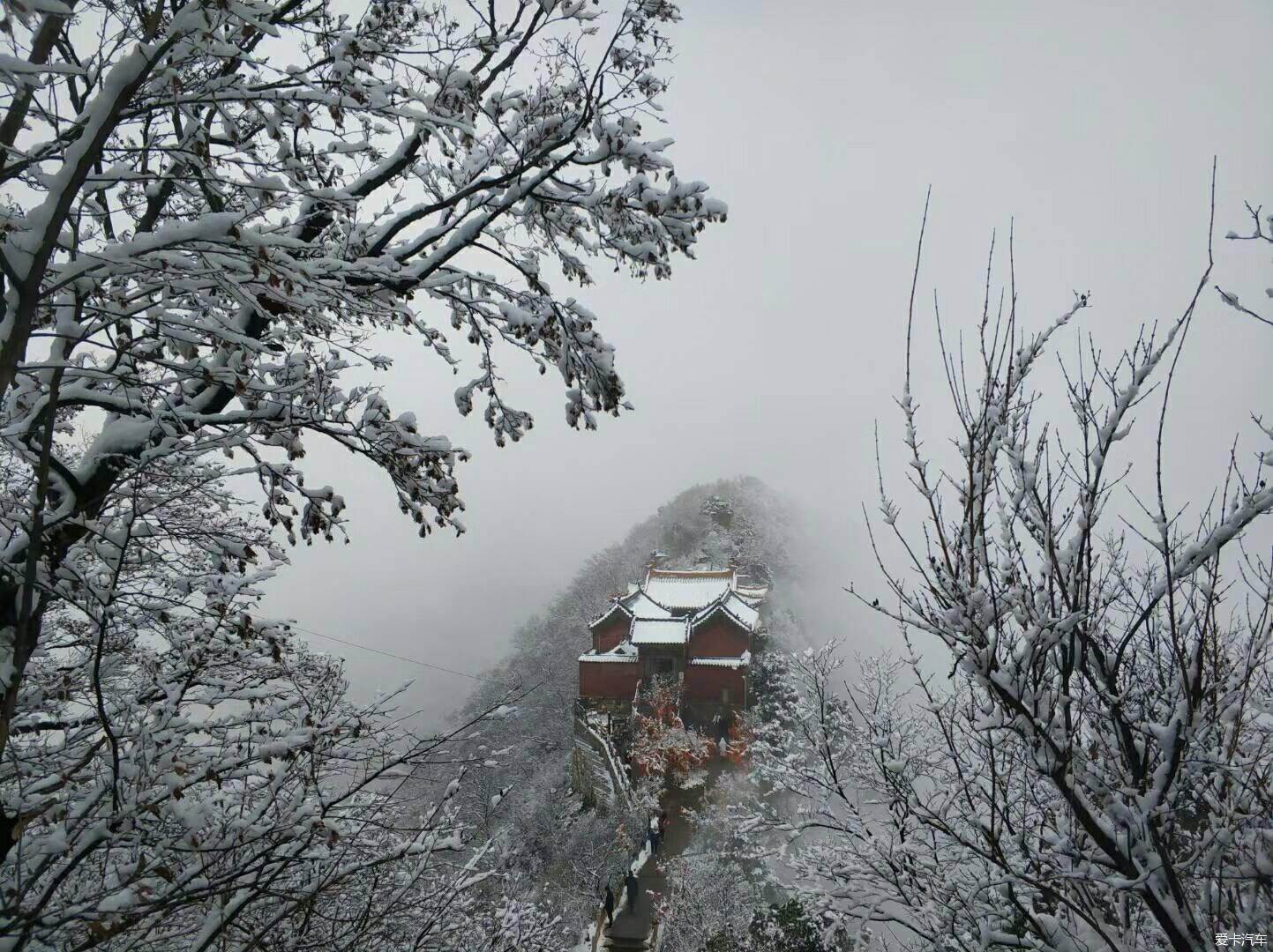 冬天的精灵————雪