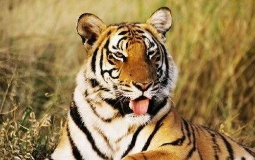 万灵药|同样的神秘药方,哥弟两个使用起来,效果却有着天壤之别