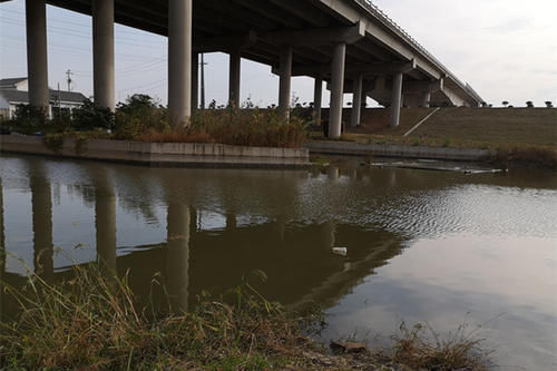 数九寒冬钓鲫鱼，鱼都藏在这些地方，在这里下竿，大鲫鱼连竿上！