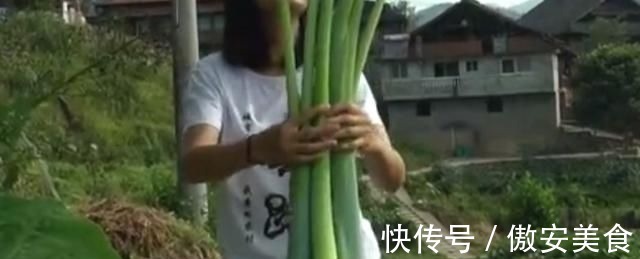 农村地区|农村地区的这种野菜,很多人以为都不能吃,其实清炒出来特别美味