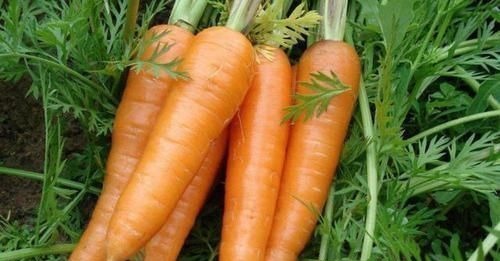 胃黏膜|胃不太好的，牢记多吃1白，少吃3红，修复胃黏膜，肠胃更健康