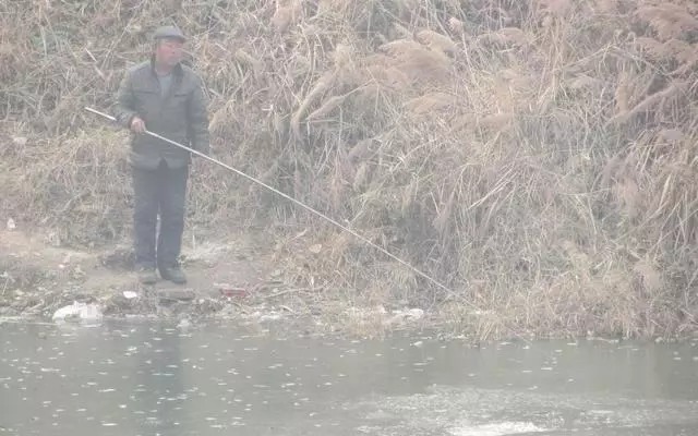 冬钓最佳钓点,莫过于水中寻草,草窝多有大鲫鱼