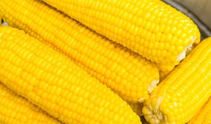 蛋黄|关心眼睛的人注意,经常吃3种食物对眼睛好,还能预防近视