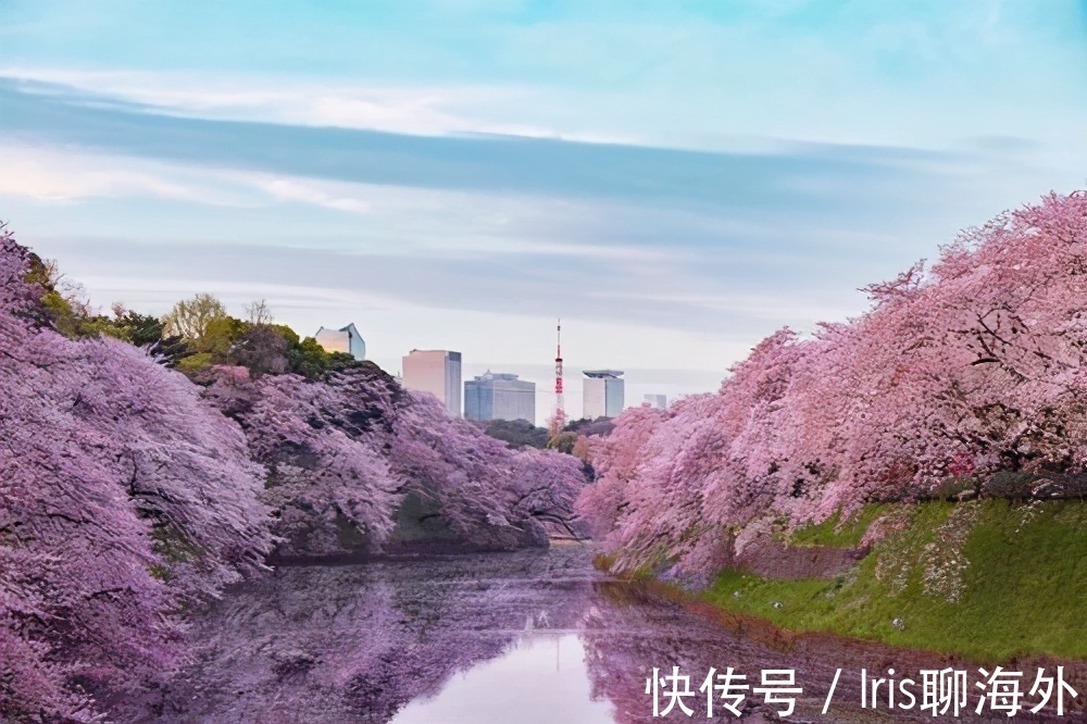 买房|日本房价排名,看完都想去购房做房东