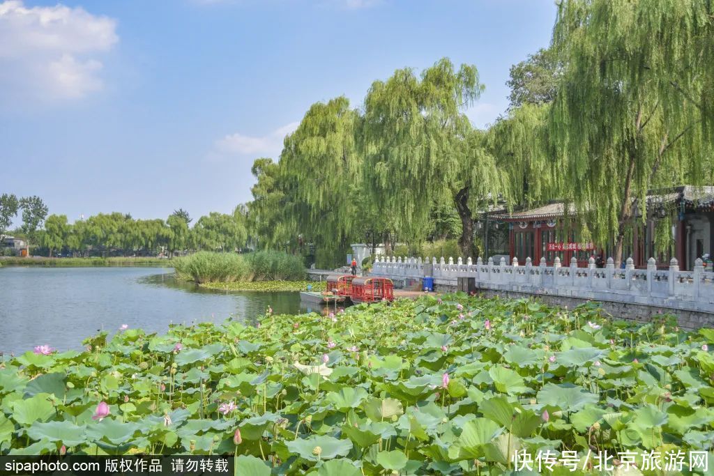 风景|免费！风景如画，微风湖畔，这个避暑圣地就在…