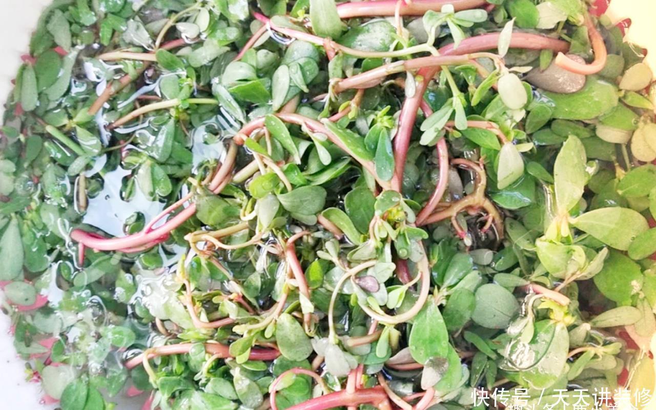 蕨菜|“晚春”阶段，6种野菜碰到别手软，错过等明年