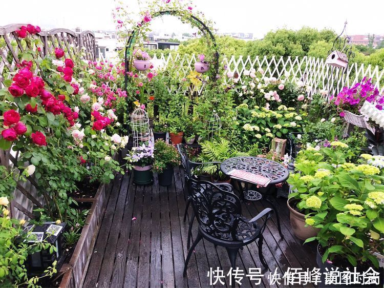 13㎡屋顶造花园,在喧嚣城市里,打造一个自己心灵深处的伊甸园