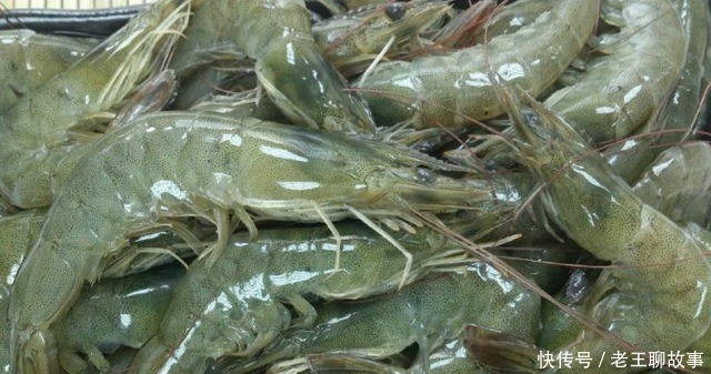 吃虾到底要不要去虾线60岁老渔民告诉你答案,很多人都被误导了