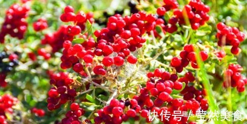 香蕉|女性养生，坚持常吃的食物，补水润肤，排出毒素，缓解女性痛经