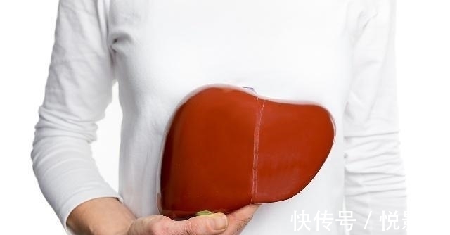 肝净|枸杞与“此物”是最佳搭档,坚持喝3天,或许肾补满,也“肝净”