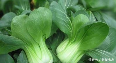 飘儿白|女性不想老太快,常吃4种食物,雀斑没了,大肚子平了