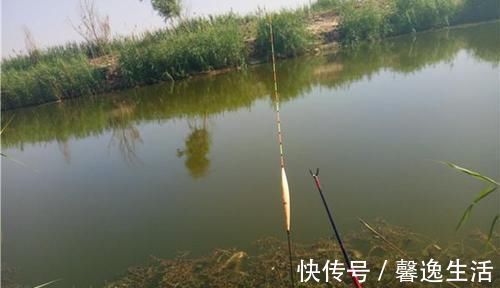 调漂|调漂技巧：使用空心软尾浮漂，调漂可以这样调，上鱼快，中鱼率高