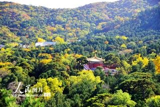 香山|北京：香山赏红叶