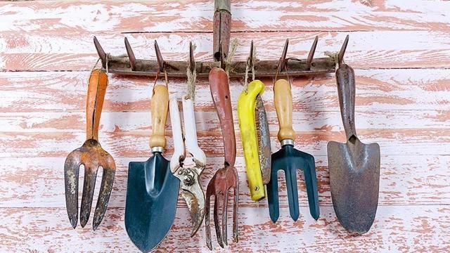 养花|喝剩的苹果醋用来养花,有6大好处,让园艺生活更简单