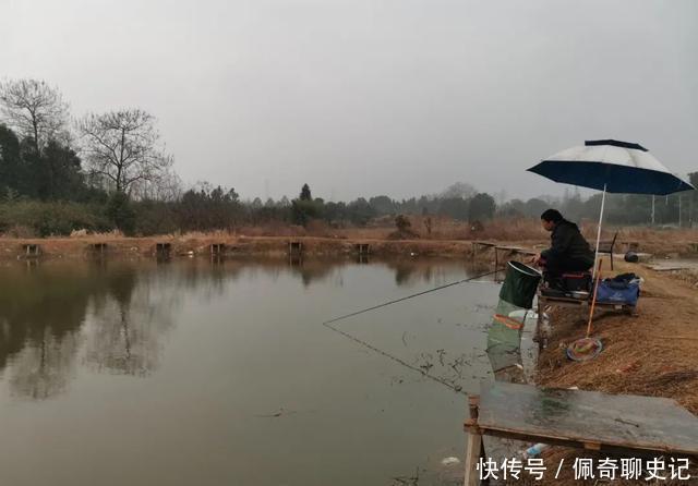 一逗就有口！降温天黑坑偷驴，凭借这一小技巧才拿下坑冠