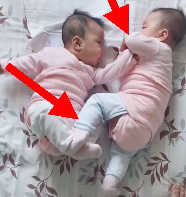 宝宝|一岁双胞胎互相掐架,哥俩下手都贼狠,网友:冤冤相报何时了