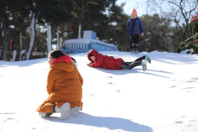 金银木|今年初雪落满山东，齐鲁雪乡首现雾凇！