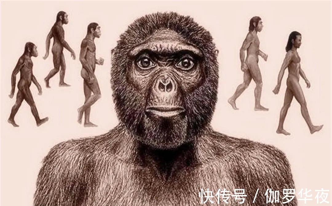 冷知识|30个冷知识：或许只有少数人知晓，无用但有趣的奇怪知识