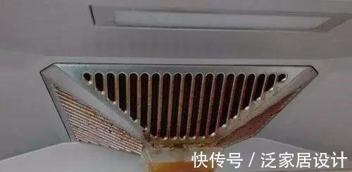 养护|厨房里哪些东西是虎皮兰喜欢的，可在盆栽期间用上？