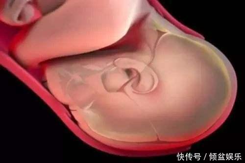 我是谁|女性分娩疼的“要死要活”时，胎宝啥感受，看完你可要忍住别笑