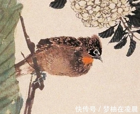 笔法&任伯年笔下的小写意鸟儿