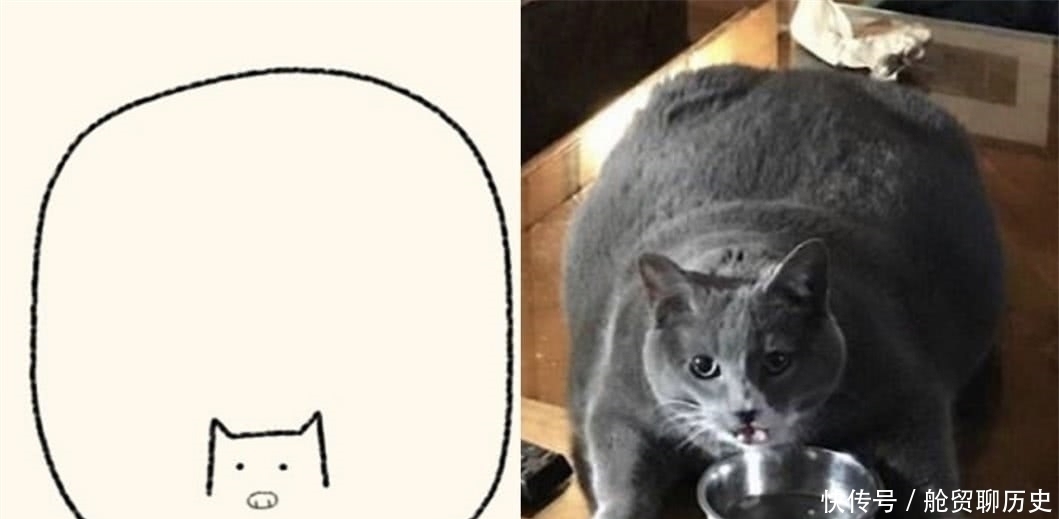 美术老师$本以为是0分试卷,看到原来作品后,网友:美术老师赶紧道歉!