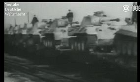 德国|德军二战的100万“动物部队”,没它们可能早就输了