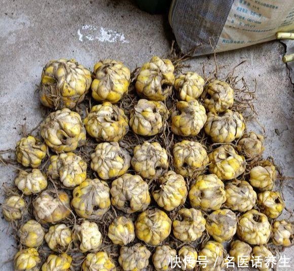 这些香香花,都有长寿命,只要种一次,开花几十年,爆满小球球!