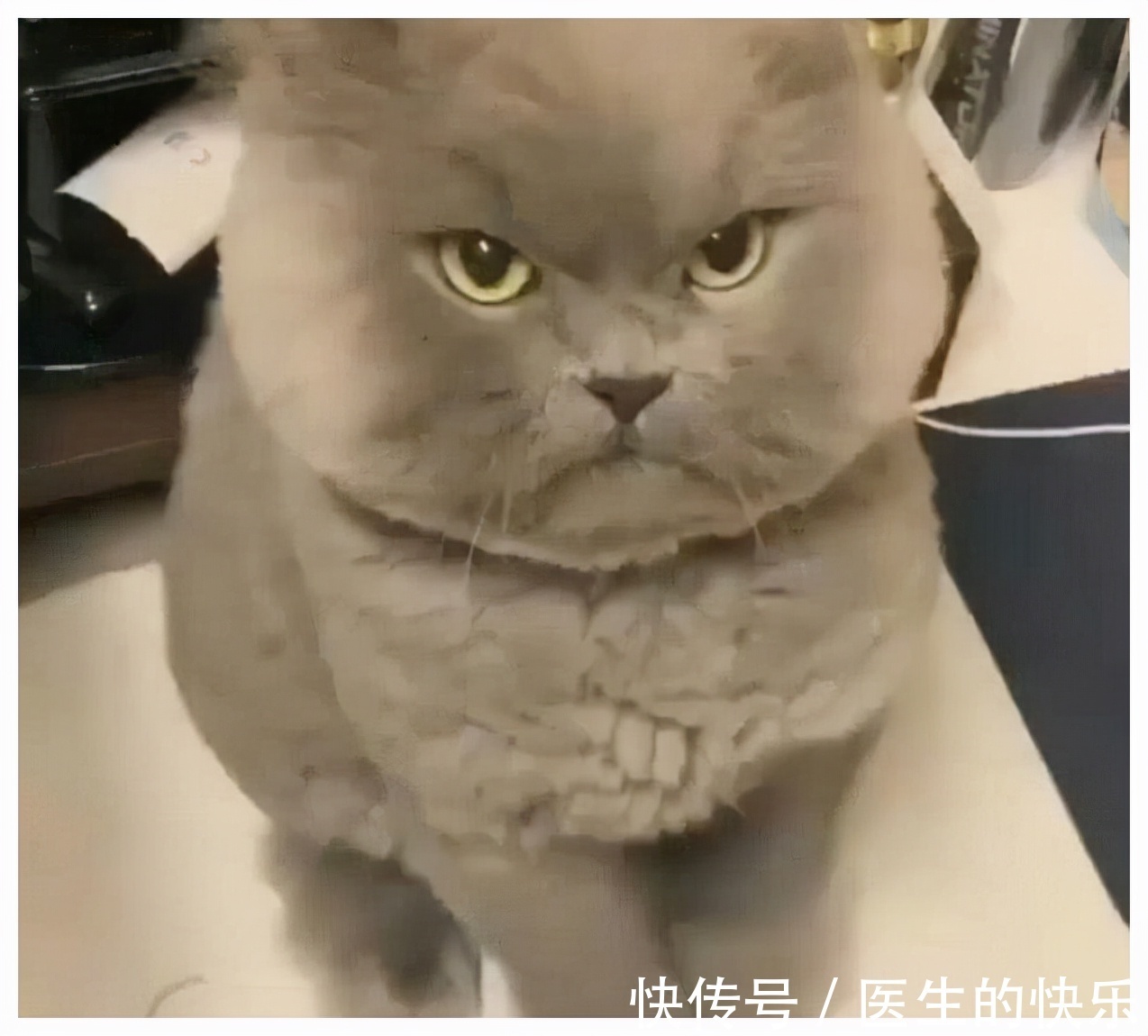 |搞笑段子:老丈人戴着老花镜,入迷的看着电视上的模特选秀