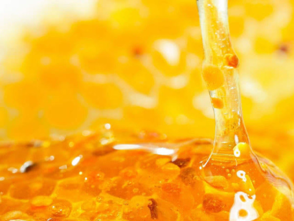 鹿茸|想养肾玛卡、牛鞭靠边站！睡前常吃这4物，把肾脏“养起来”