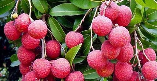 春天来了，多吃以下3种食物，治疗便秘，清理肠胃，早吃早好