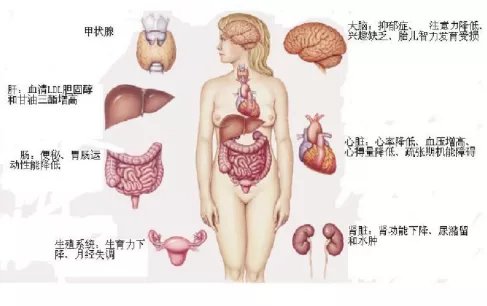 哈欠|乏力犯困，哈欠连天，无精打采？小心！可能是甲状腺“失控”了