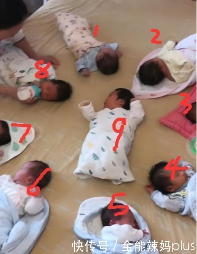 受精卵|“最累姥姥”登场,三胞胎女儿各生了三胞胎,网友:办个学校吧