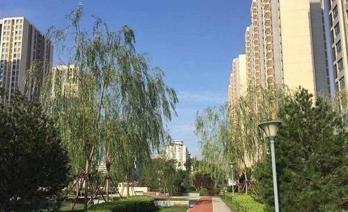 噪音|高层房子越来越多,到底那一层最舒适看完你就知道了