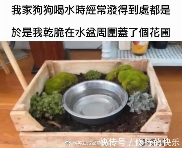 |冬至到底吃什么的终极答案 冷段子2018