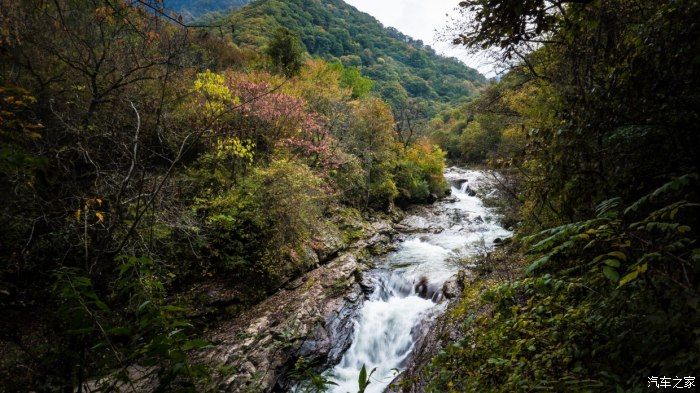 自然保护区|开着大唐去旅行——穿越太洋公路，赏黄柏塬醉美秋色（中篇）