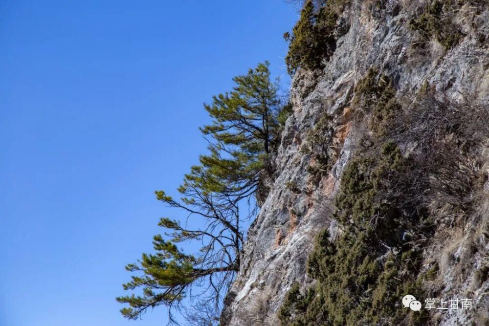 小南带你游甘南·莲花山——来自远古的传说