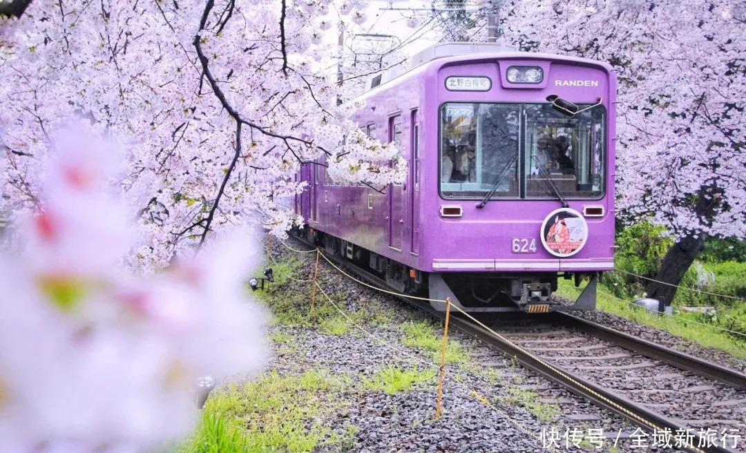永安寺|锦里沟的樱花小火车将于今年3月1日发车了~