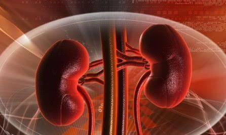 肾虚|藏在身边的天然“补肾药”, 男人每天吃一点, 让你肾动力十足