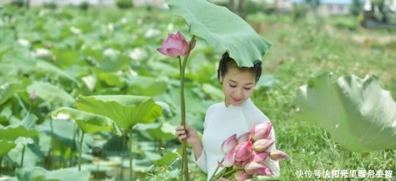 白居易|白居易看到采莲女害羞，当即写下一首诗，通篇描写得生动有趣！