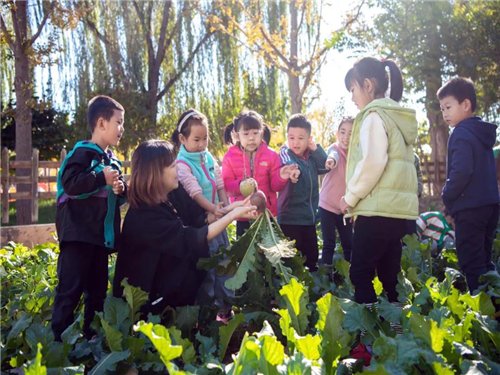 生态|房山区：打造农庄式幼儿园 让孩子们在绿色中健康成长