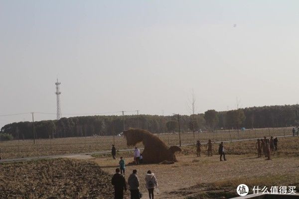 郊野公园|心想游，心想有，心享游 篇二十一：上海人少景美赏春处，嘉北郊野公园