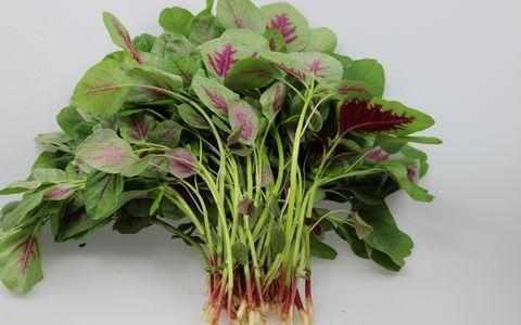 大山珍|農村不起眼的9大山珍,認識4個以上,說明你是真正的農村人!