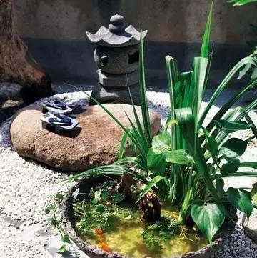 她把家里的破盘子改造成景观盆栽,不花一分钱