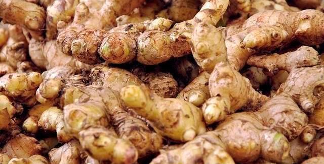 生姜|生姜保存有方法,教你1招,久放不坏不干瘪,和刚买的一样